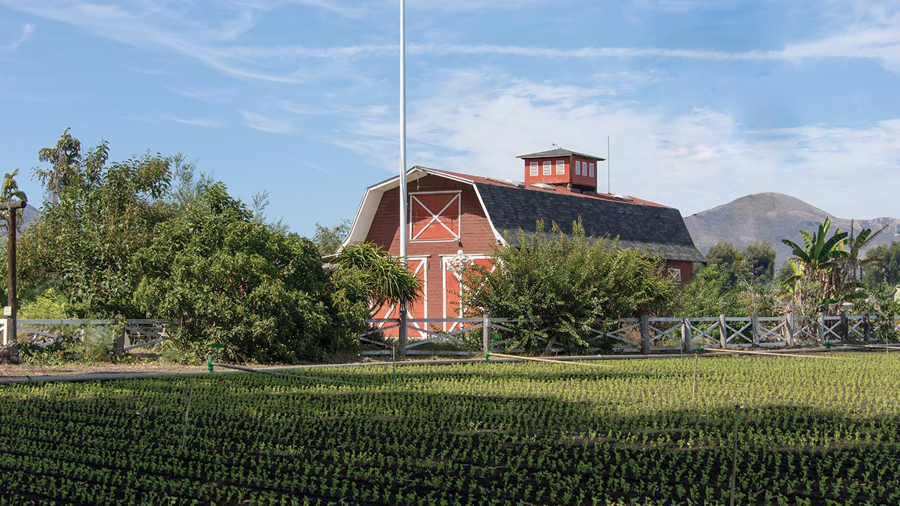 Barn